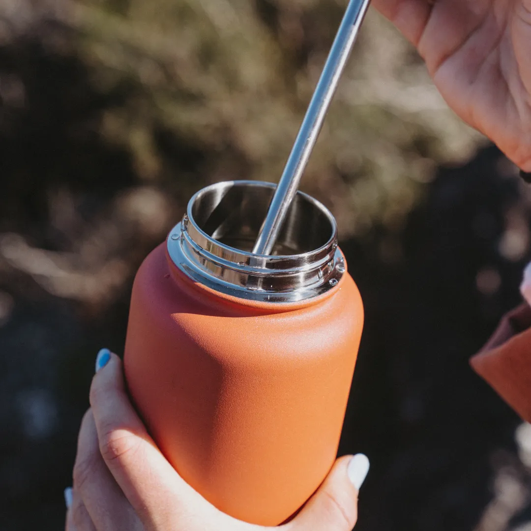 950mL Insulated Bottle w/ Straw Lid