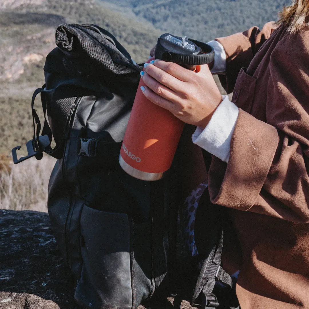 950mL Insulated Bottle w/ Straw Lid