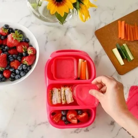 Goodbyn Bynto Lunchbox Neon Pink plus Two Leakproof Containers