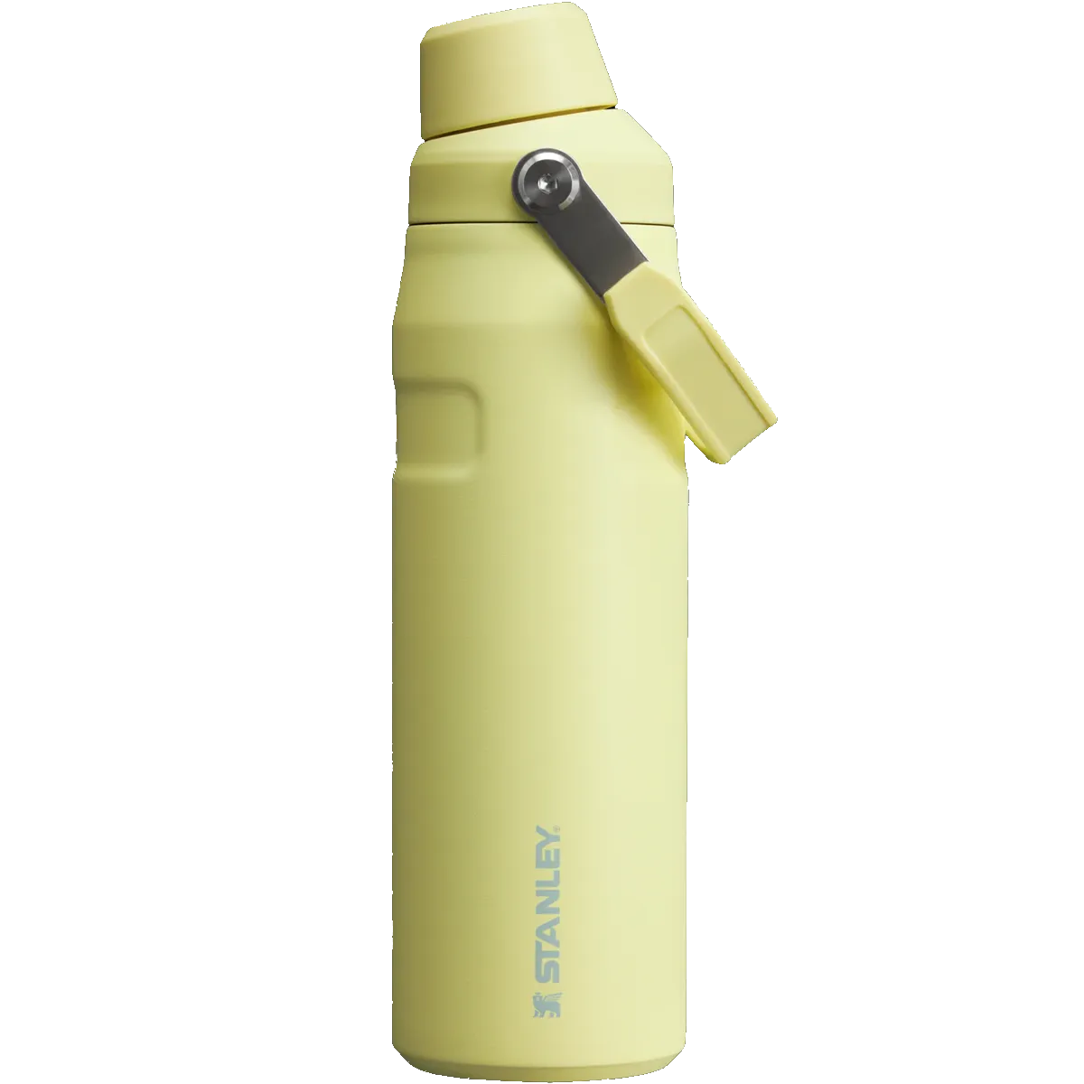 IceFlow Bottle 24 oz with Fast Flow Lid