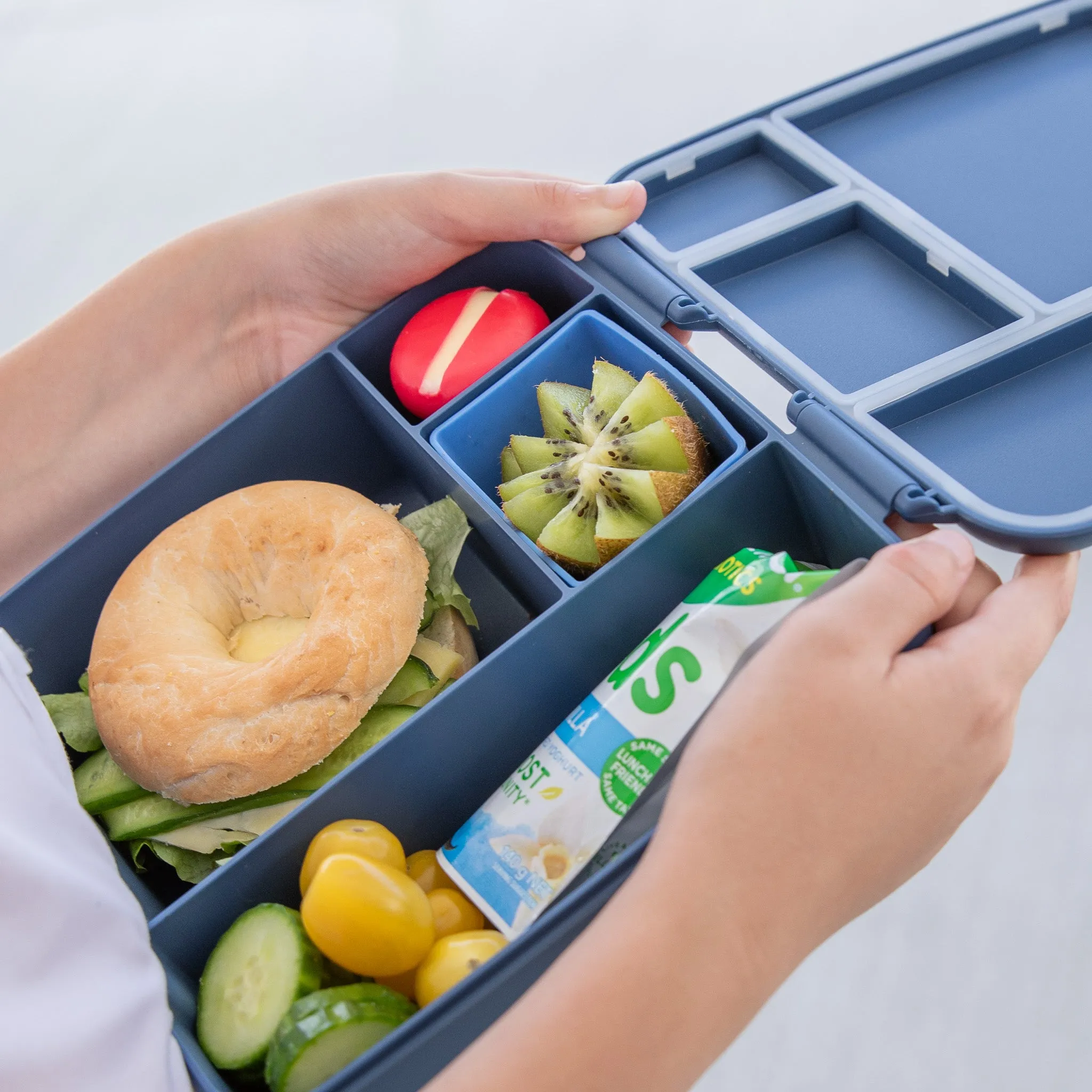 MontiiCo Feast Lunch Box - Navy