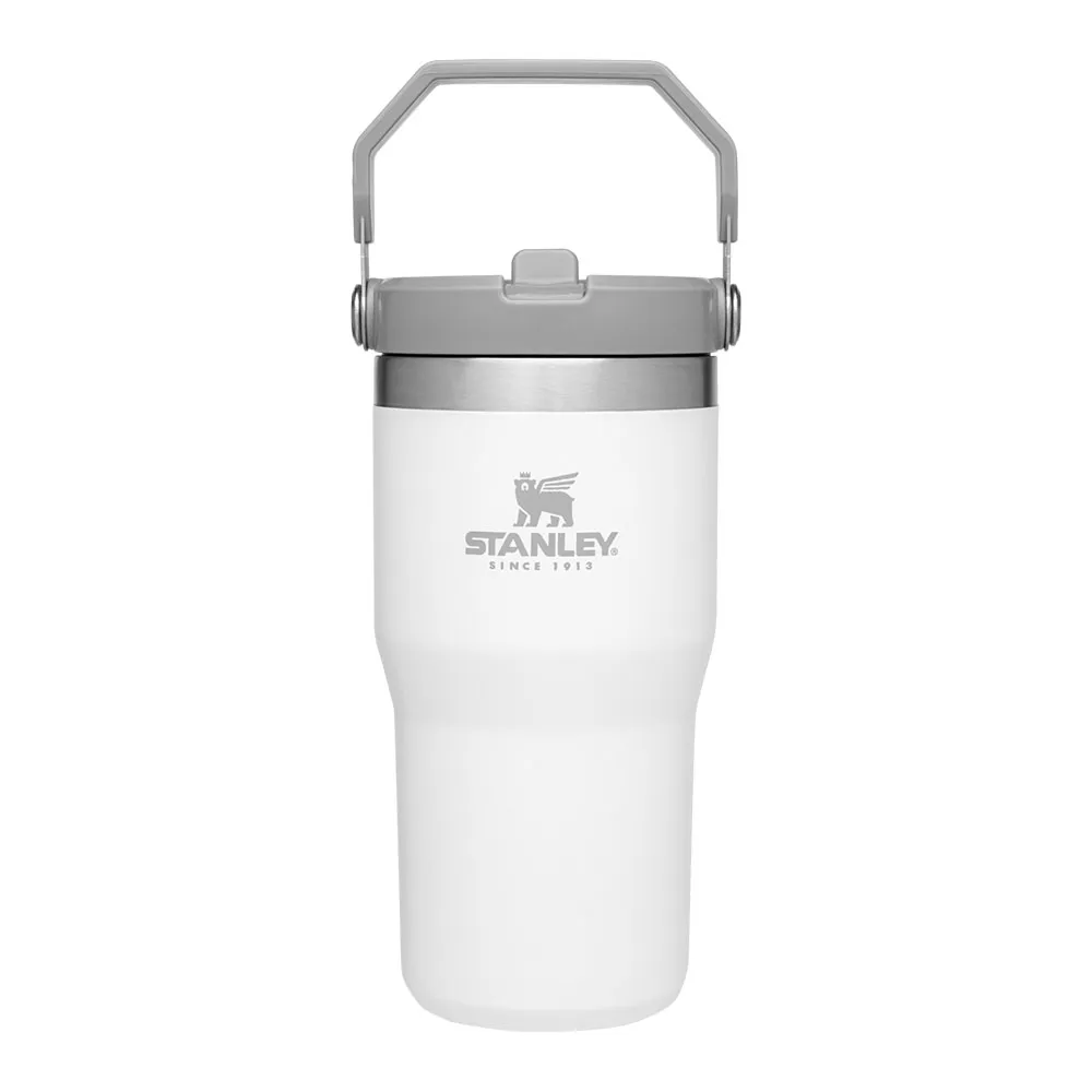 Stanley IceFlow™ Flip Straw Tumbler | 20 oz