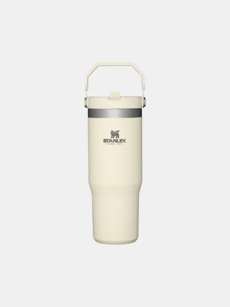 STANLEY THE ICEFLOW™ FLIP STRAW TUMBLER - 30 OZ