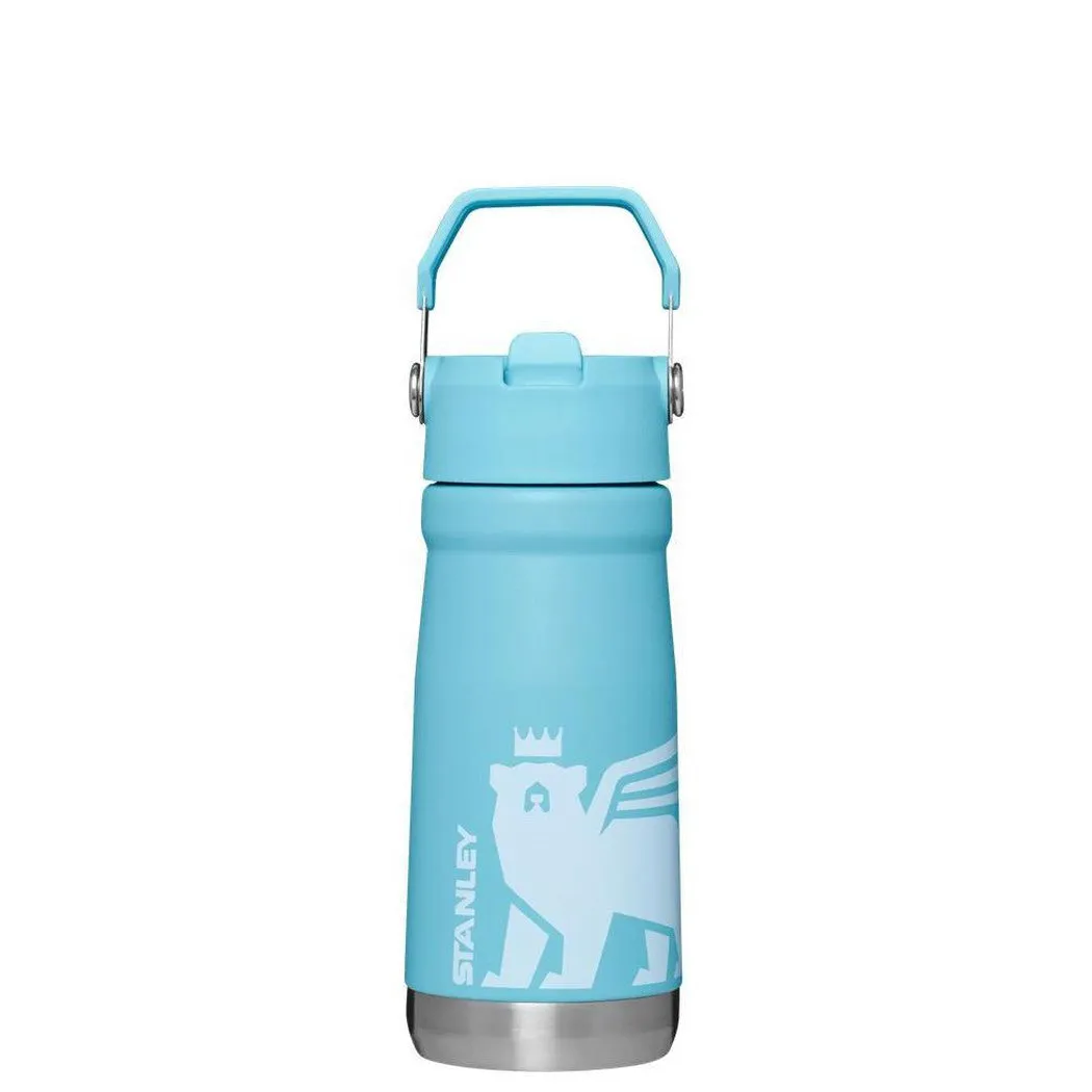 Stanley The IceFlow Flip Straw Water Bottle 17oz