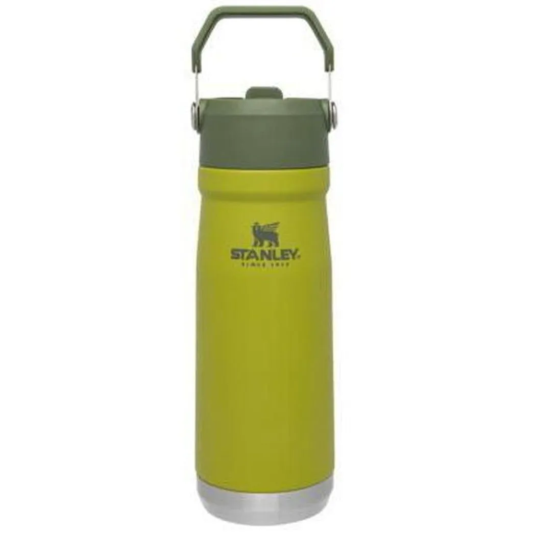 Stanley The IceFlow Flip Straw Water Bottle 22oz