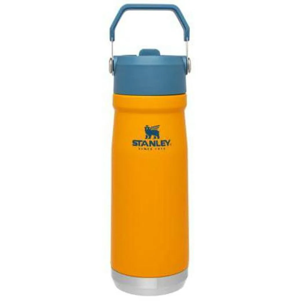 Stanley The IceFlow Flip Straw Water Bottle 22oz