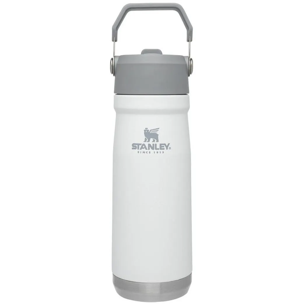 Stanley The IceFlow Flip Straw Water Bottle 22oz